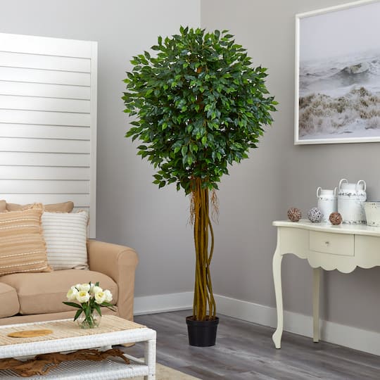 7.5ft. Potted UV Resistant Ficus Tree